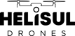 Helisul-logo Helisul-logo